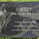 Jessy-5